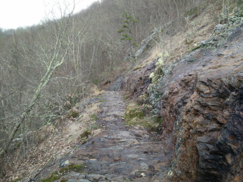 Appalachian Trail Übericht - Tennessee
