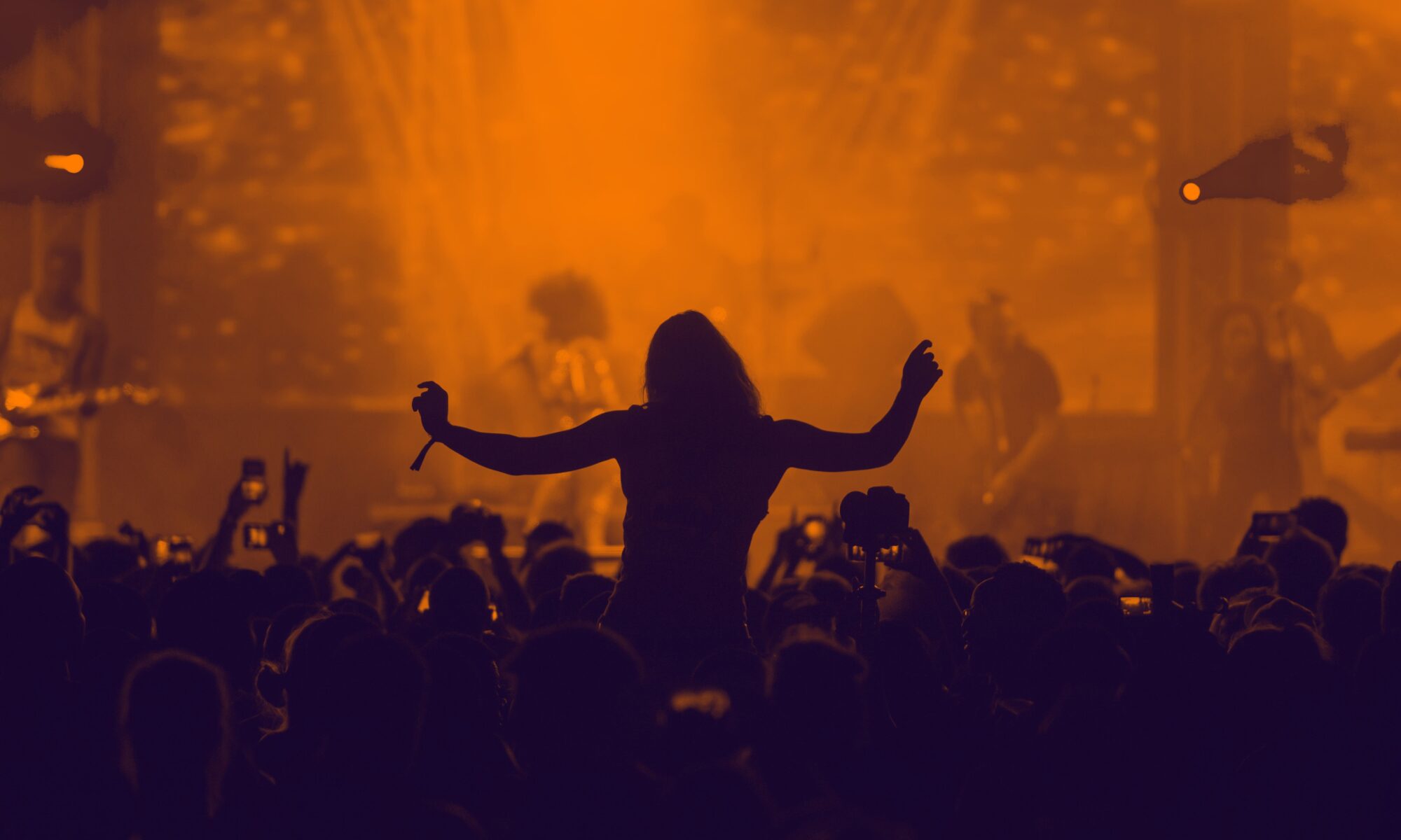 Nächtliches Konzert