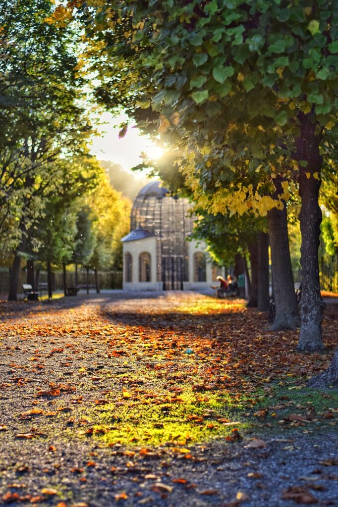 wien schönbrunn