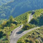 Weinberge in Deutschland, die schönsten der Welt