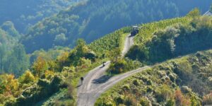 Weinberge in Deutschland, die schönsten der Welt